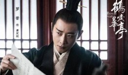 鹤唳在线观看,穿越时空的绝美邂逅